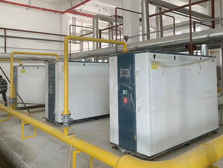 全預(yù)混冷凝低氮燃?xì)忮仩t案例